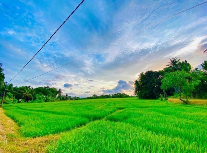Arani Homestay 波隆纳鲁沃 外观 照片